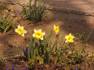 rikugiGarden2010_0024.JPG