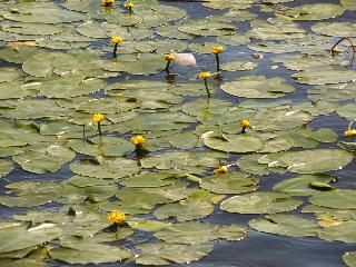 kotoku2010_0008.JPG