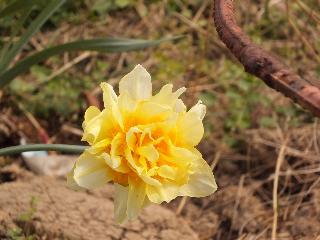 oceanSide2010_0002.JPG
