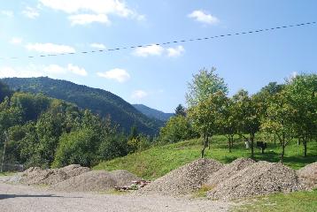 Cei aici?